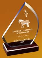 trophee-plexi.jpg
